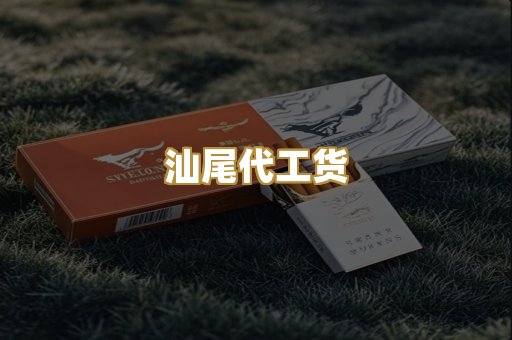 汕尾代工货